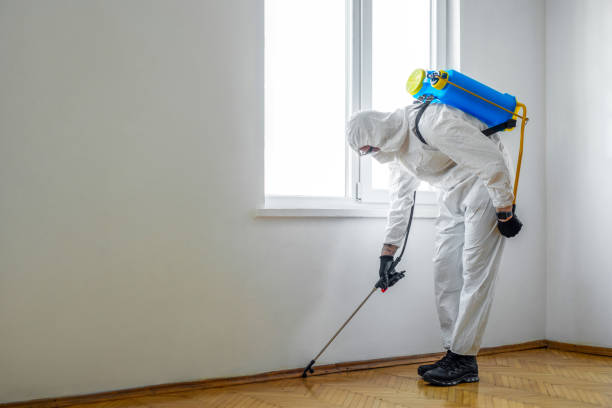 Best Real Estate Pest Inspections  in Heber Overgaard, AZ